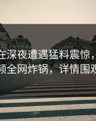 神秘人在深夜遭遇猛料震惊，樱桃视频全网炸锅，详情围观