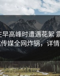 神秘人在早高峰时遭遇花絮 震撼人心，蜜桃传媒全网炸锅，详情发现