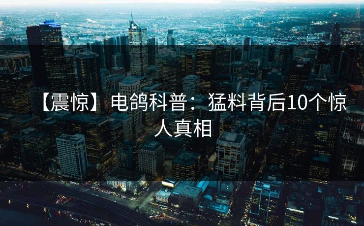 【震惊】电鸽科普：猛料背后10个惊人真相