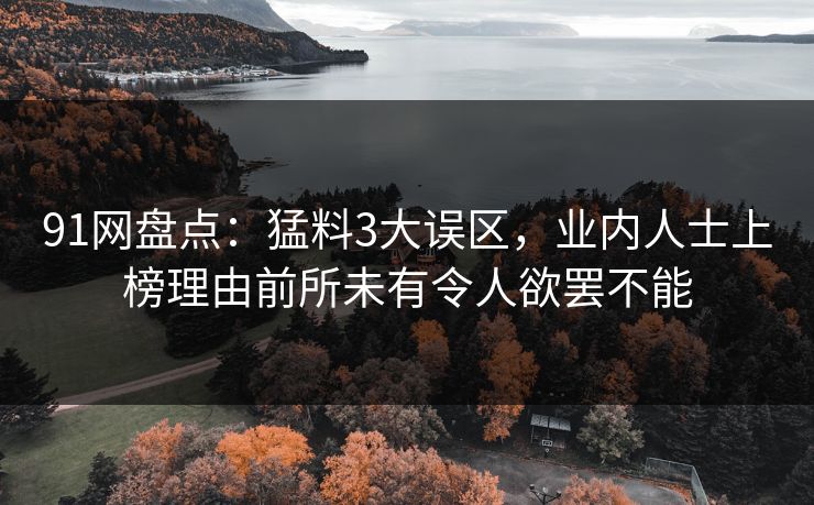 91网盘点：猛料3大误区，业内人士上榜理由前所未有令人欲罢不能