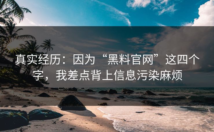 真实经历：因为“黑料官网”这四个字，我差点背上信息污染麻烦